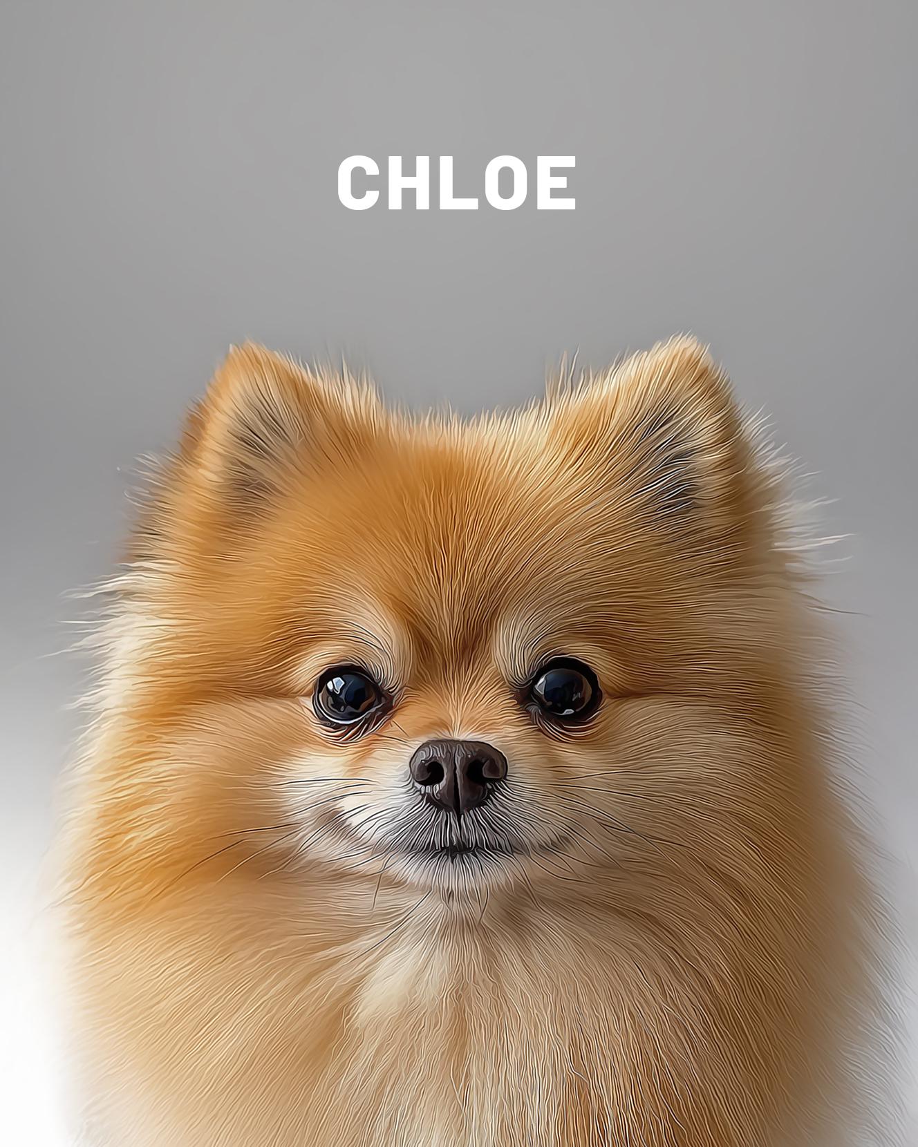 Dog Personalized Custom Portrait. Dog Portrait Wall Art Digital Download. High Resolution Digital Art Ready To Be Printed.