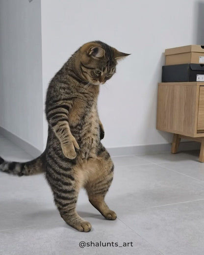 🐾 Custom Pet Dancing Video - Digital Download 🎵